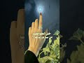 لا شاري عقد خالد عبدالرحمن
