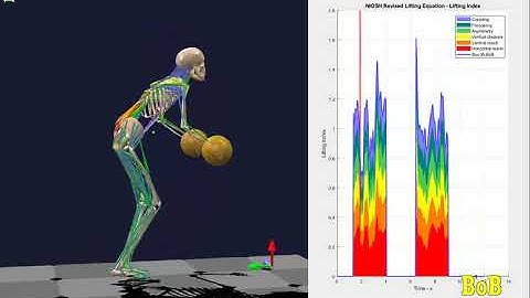 NIOSH Revised Lifting Equation