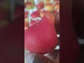 Maverick nok kochati bor +998889572727 #fruit #fargonamashinabozorinarxlari