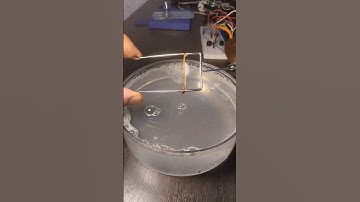 The free energy of the liquid surface does the work #shorts #physics