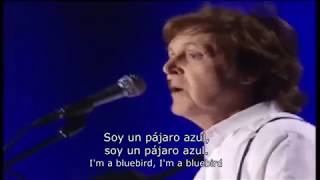 Paul McCartney INÉDITO - Bluebird | Argentina 2010 (subtitulada)