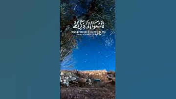 💟 تلاوة من سورة الجمعة 💟 #بيشوا_الكردي #quran #حالات_واتس #islamic
