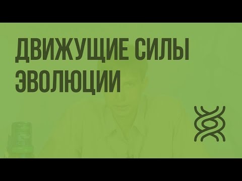 Движущие силы эволюции: наследственная изменчивость и естественный отбор. Видеоурок по биологии 11