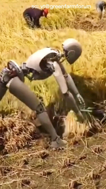 teknologi akhir zaman, robot pemanen padi