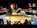 Shallow walleyes are the best walleyes ice fishing in 58ft