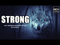 No copyright strong epic cinematic soundtrack  grey wolf