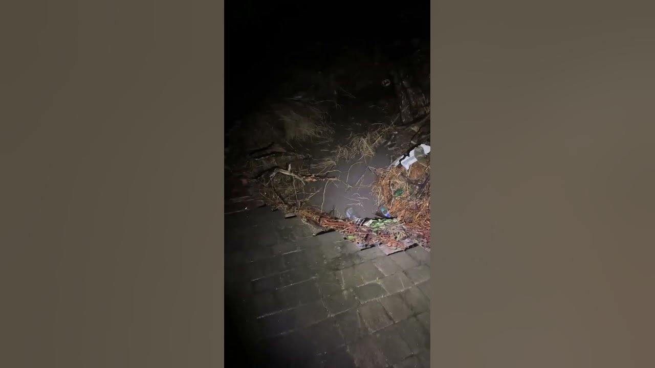 14 april 2024 margate floods kzn southafrica YouTube