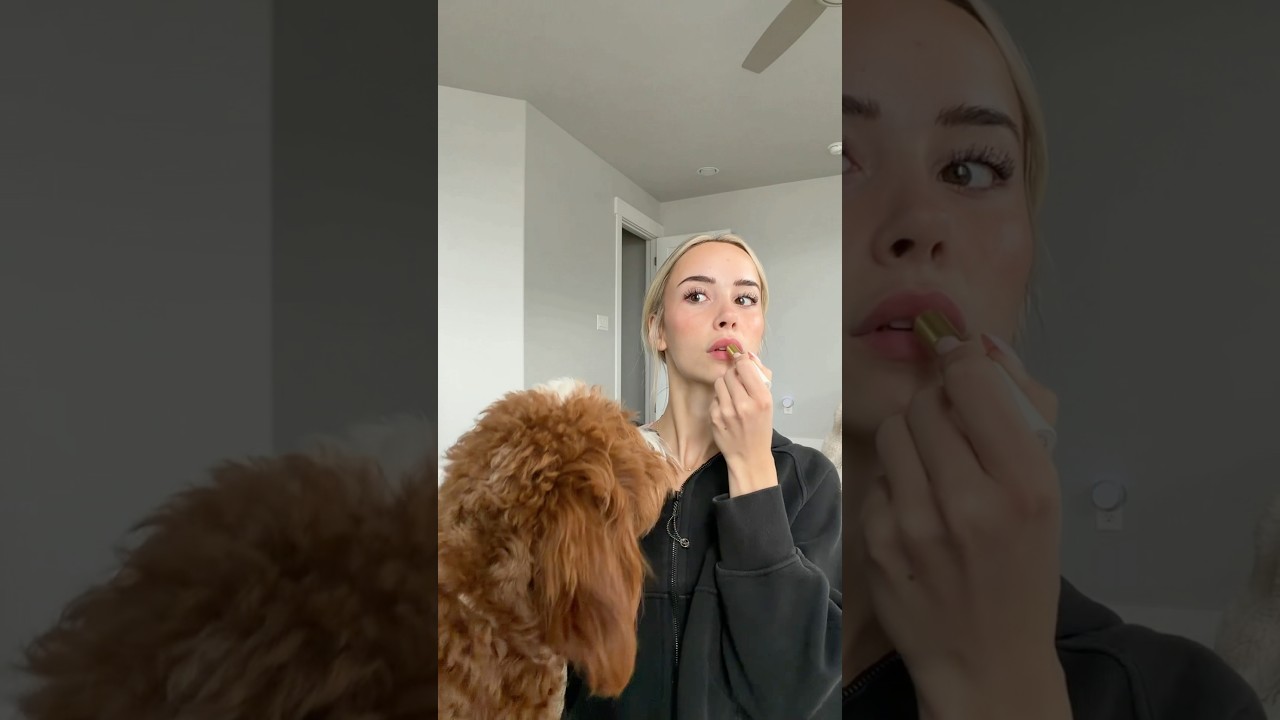 Just another peaceful morning #dogs #dogcomedy