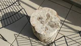 Suite At 11 Howard Hotel In New York, New York, Usa