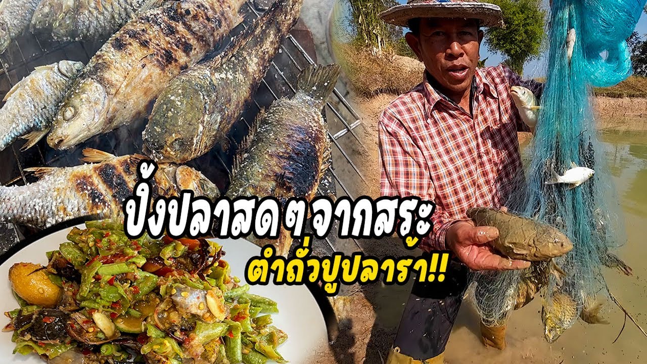 ปิ้งปลาสดๆจากสระ ปลาพ่อน้อยเลี้ยงเอง ตำถั่วปูปลาร้า จัดจ้านมากพี่น้อง