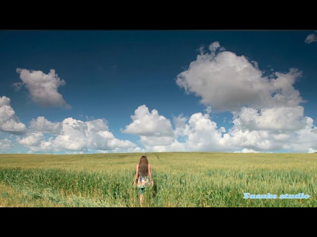 新品未使用　デュオで楽しむヴァイオリン　日本のメロディー　玉木宏樹編　音楽之友社 新品未使用 デュオで楽しむヴァイオリン 日本のメロディー 玉木宏樹編