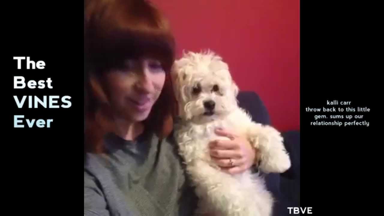 Best Vines August 2014 Compilation