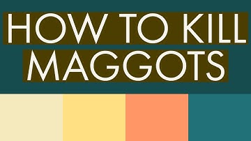 How To Kill Maggots [ 3 Simple Methods ] ✔✔