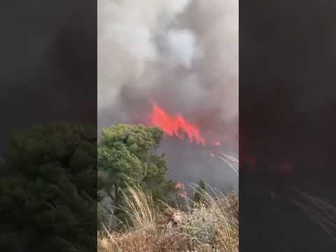 Φωτιά στον οικισμό Κοκκιναρέα