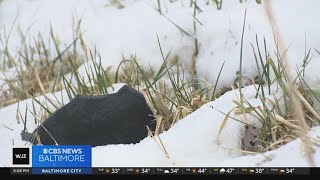 Celebrity String of mailboxes destroyed in Carroll County being investigated Profile