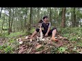 Make wooden crafts, survive in the deep forest Vol 2