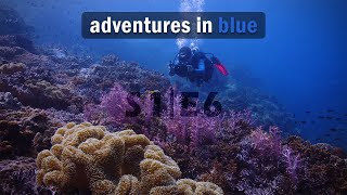 Koh Tao Dive | Underwater Video Training