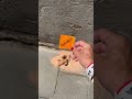Cada cosa en su lugar – Francisco de Pájaro, street artist Barcelone, graffiti video
