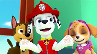 Video thumbnail of "PAW Patrol – The Best of Friends (Friendship Day Song) (part 1) (North American English)"