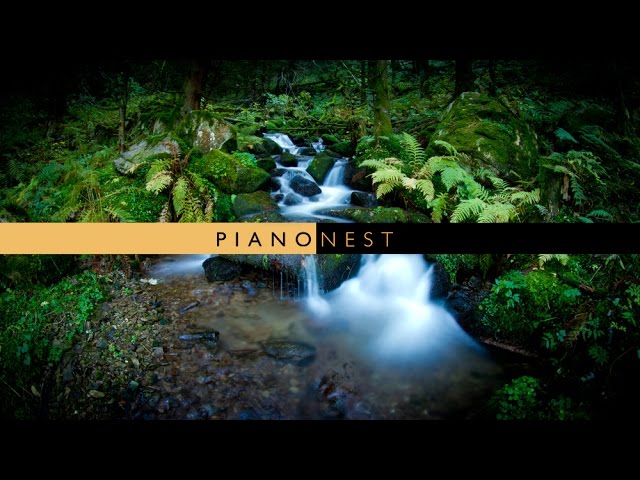 PianoNest - 3 Hours of Relaxing Piano 1 - Sleep, Study, Work, Relax, Focus class=