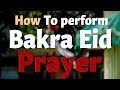 How To perform Bakra Eid Prayer #eid #allah #motivation