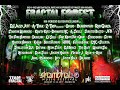 Stanton Warriors - Fractal Forest 20th Anniversary Shambhala Music Festival 2017