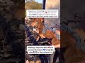 ”“Hard times hit, but I’m still trying. Need support for my dog’s needs and rent. Anything helps 💔💔