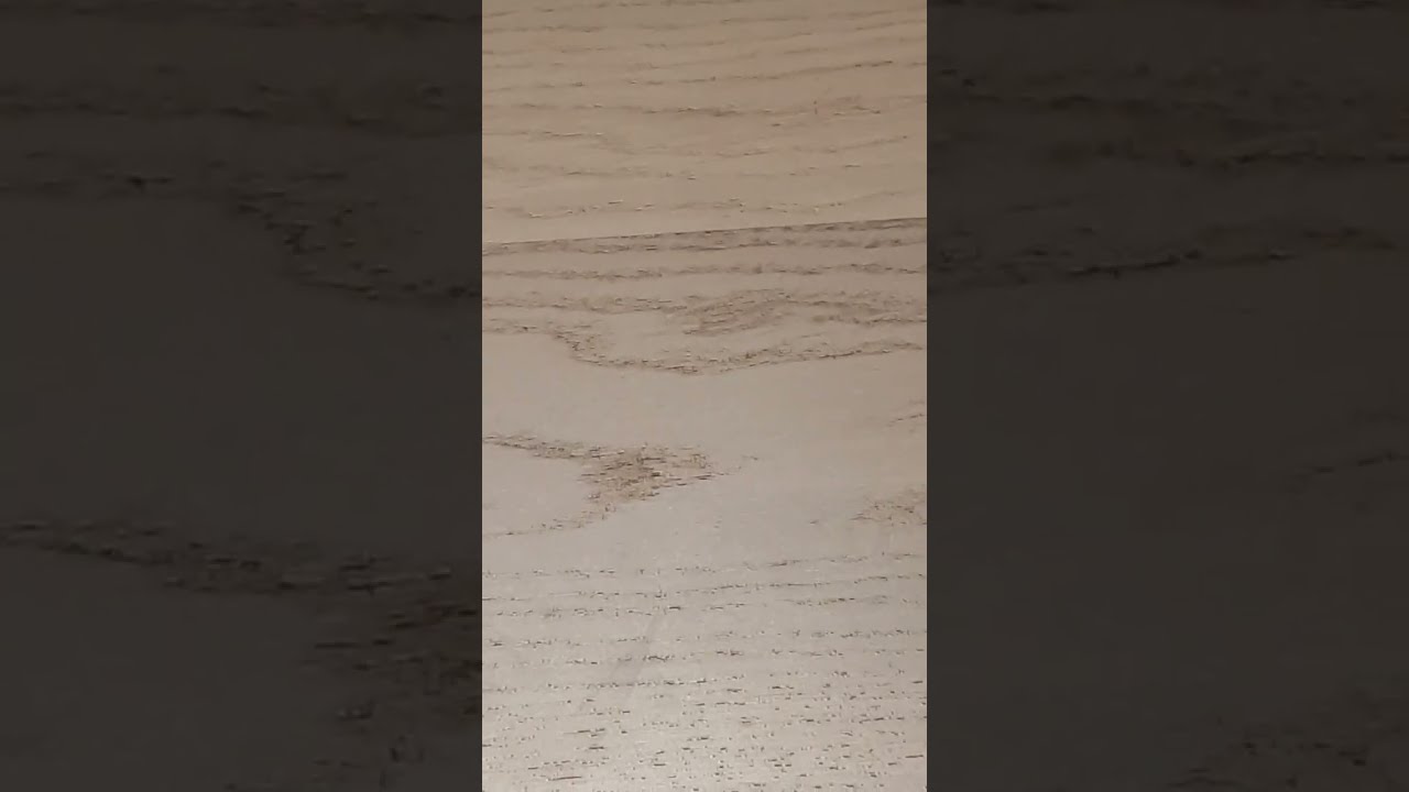 Day 264 Of Posting Floors 