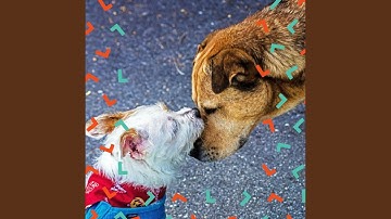 Exquisite Backdrops for Memory