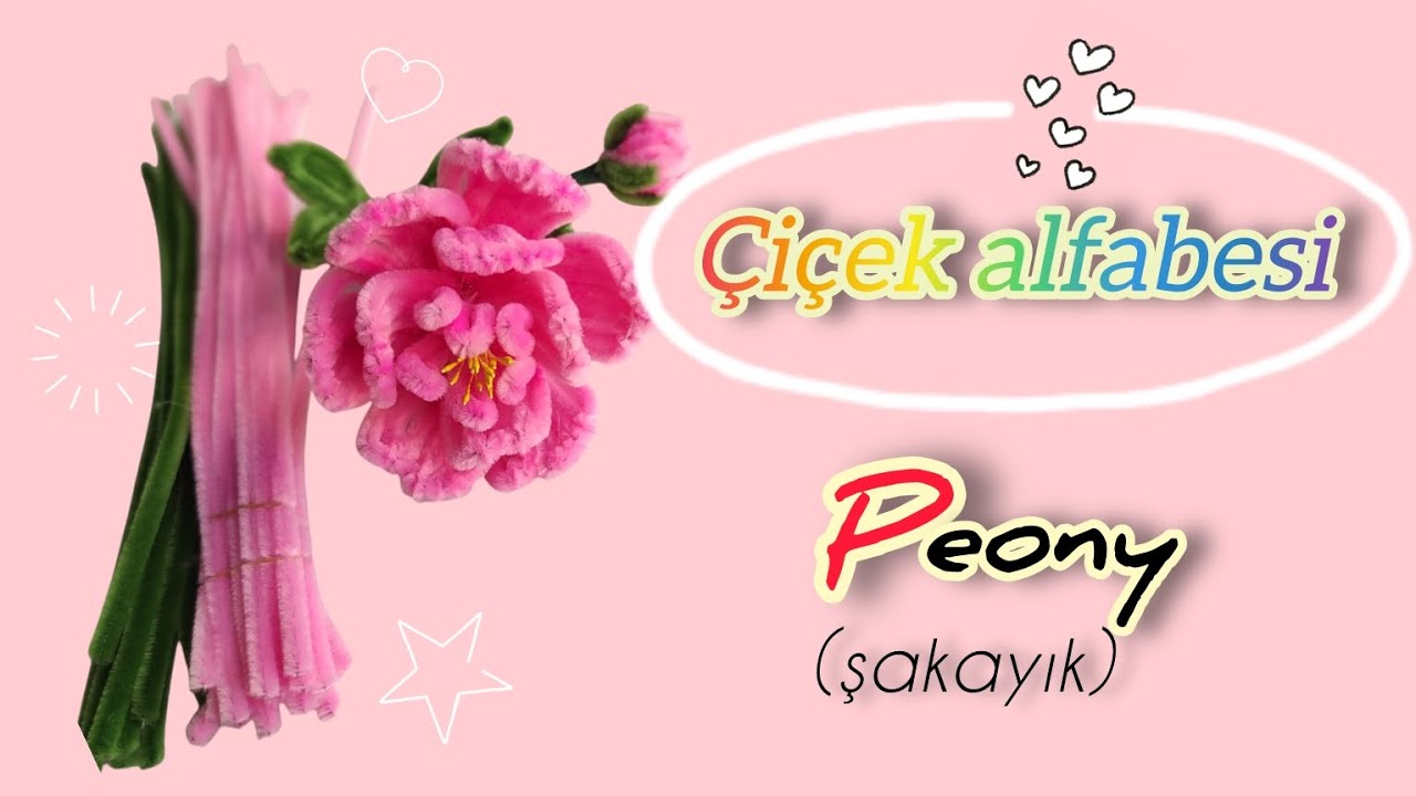 Çiçek alfabesi ✨ ŞÖNİL ÇİÇEK 🌿 P- Peony