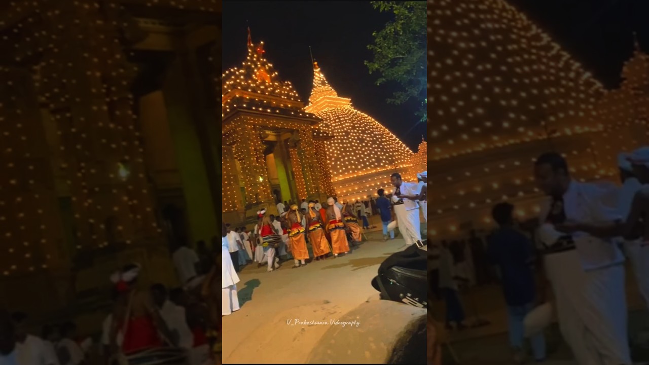 Kelaniya Duruthu Perahera 2026 | කැළණිය දුරුතු පෙරහැර මංගල්&zwj;යය 2026 ☸️ #kelaniya #srilanka #shorts