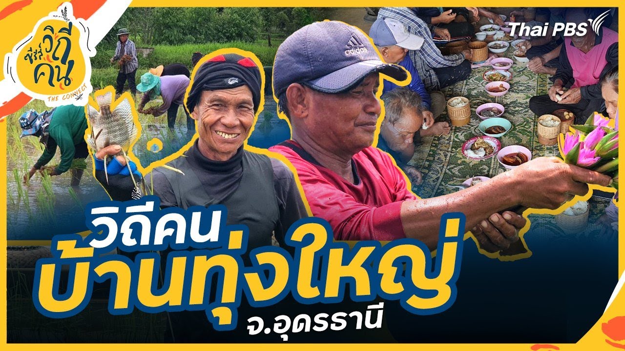 วิถีคนบ้านทุ่งใหญ่  จ.อุดรธานี | ซีรีส์วิถีคน
