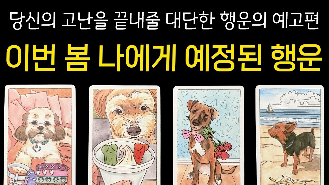 [💠타로]3월에서 5월 사이, 당신의 이름표가 바뀝니다. 이번 봄 당신에게 예정된 소름 돋는 행운