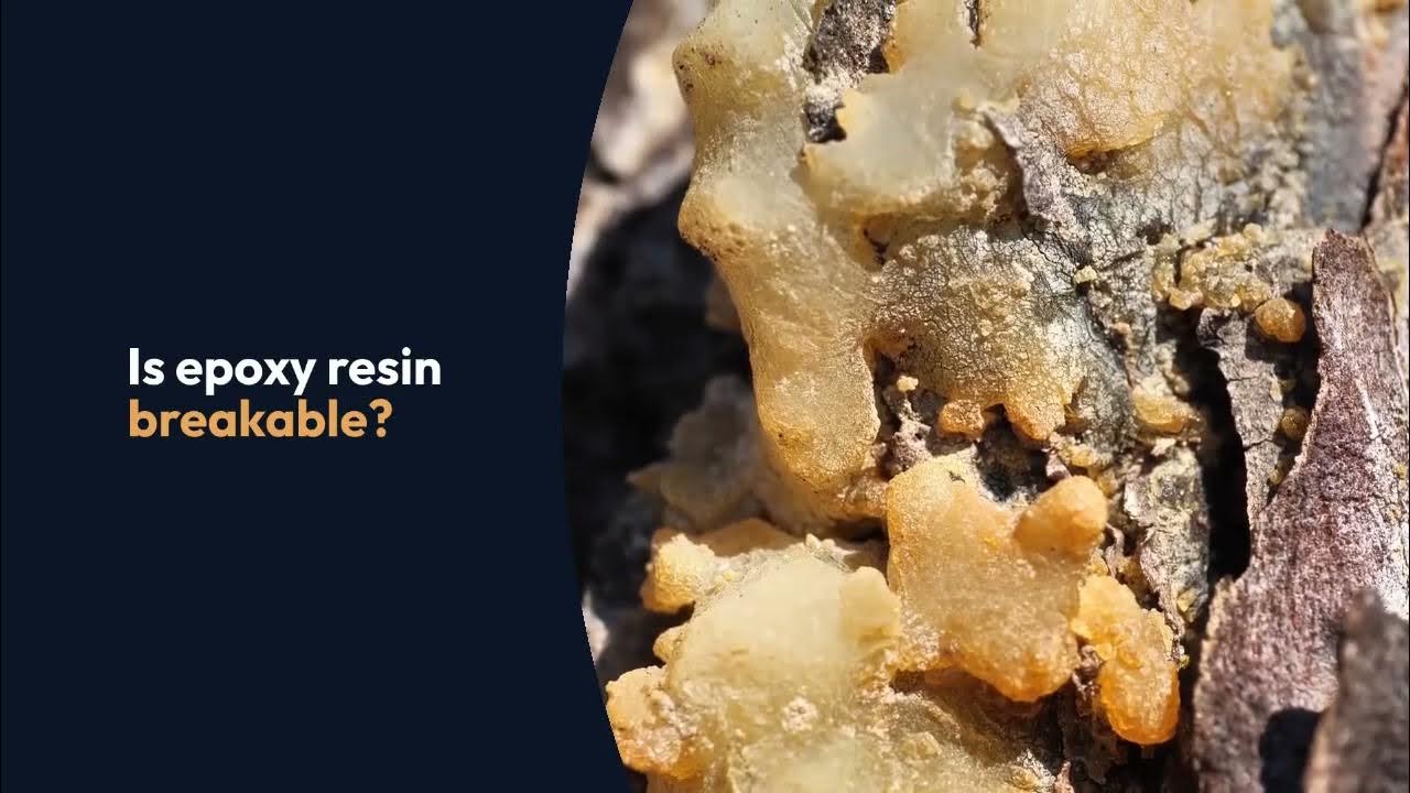 Is Polyresin Material Breakable? YouTube