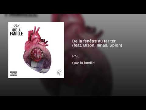 PNL - De la fenêtre au ter ter (feat. Bizon. Ilinas. Spion) [Audio officiel]