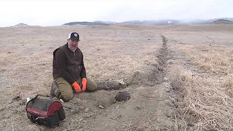 HOW TO MAKE DIRT HOLE SET FOR FOX COYOTE Trap Traps Trapping