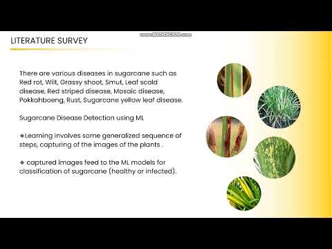 Phyto Détente-Sugarcane disease detection and organic curing using ML 2018CSEPID15