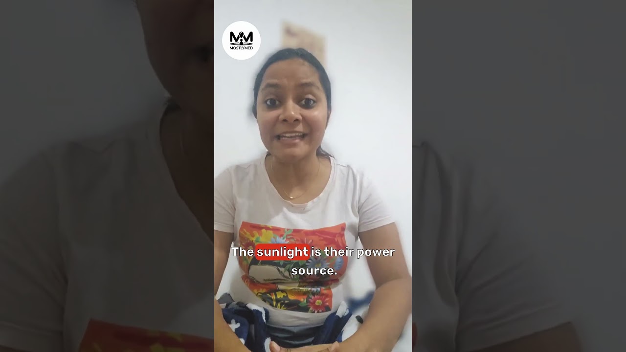 [426] C1.3 [CONCEPT] Photosynthesis by 