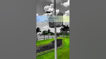 أَلَمْ تَرَ أَنَّ اللَّهَ يُسَبِّحُ لَهُ مَن فِي السَّمَاوَاتِ القارئ/مختار الحاج #القرآن_الكريم