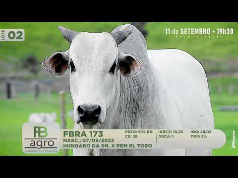 LOTE 02   FBRA 173