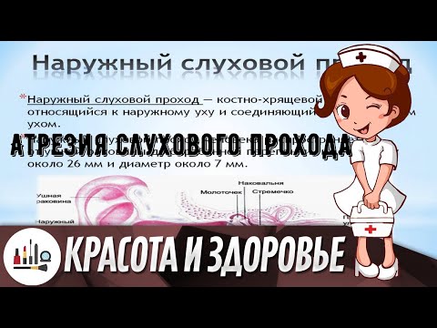 Атрезия слухового прохода