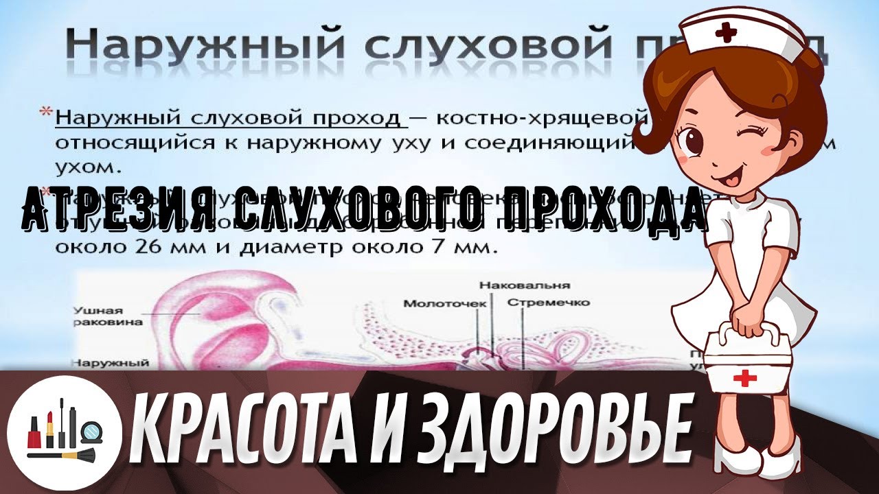 Атрезия слухового прохода