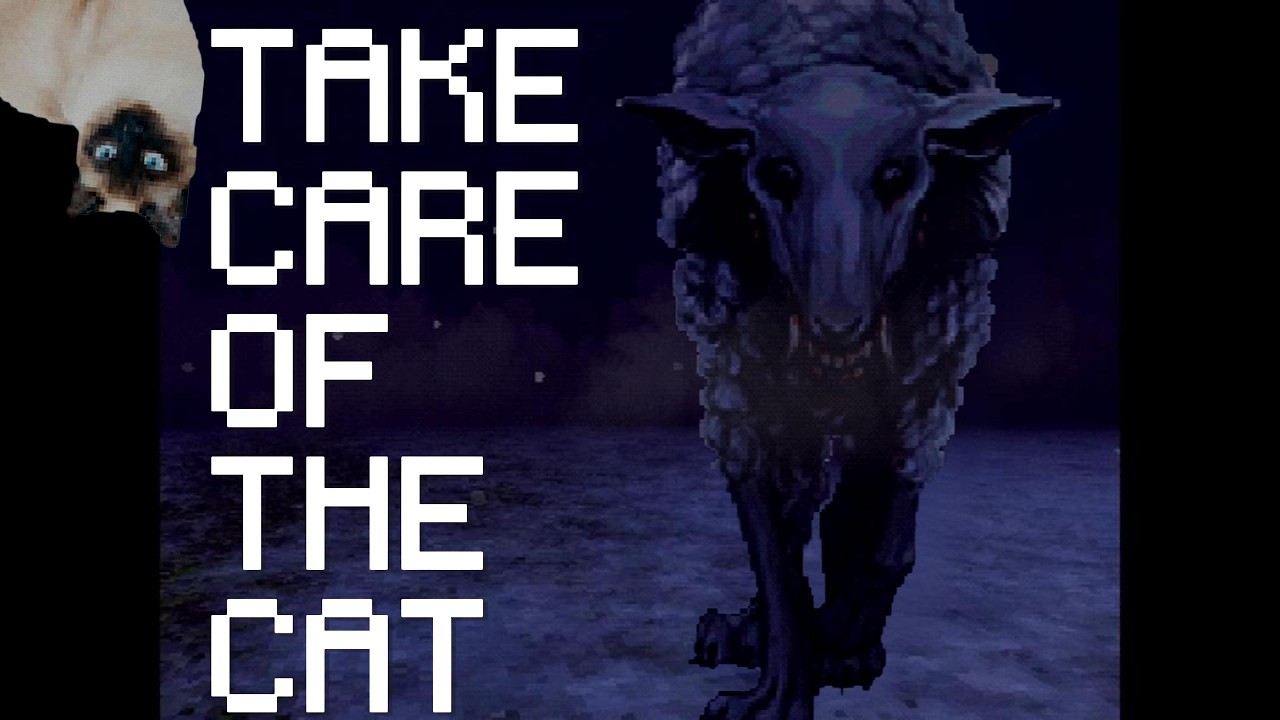 TAKE CARE OF THE CAT - YouTube