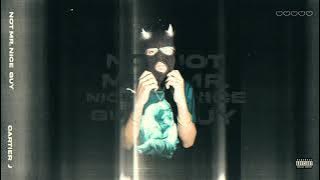 Cartier J - Not Mr Nice Guy (Official Audio)