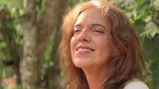 Olha Pro Céu - Dan Fontaine His Orchestra Feat. Selma Boragian