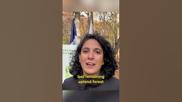 Community Reforestation Grants Awarded for Projects in NYC