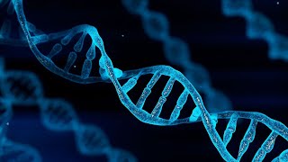 Ancestry & DNA Test
