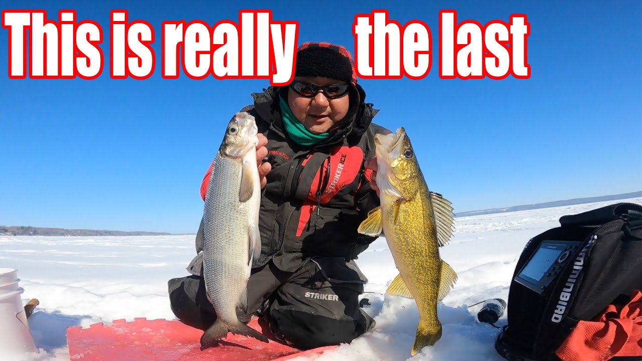 Sylvan Lake This is really the last ice fishing YouTube