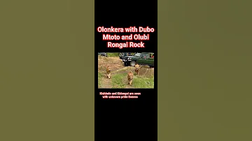 Olonkera With Dubo And Kishindo 
