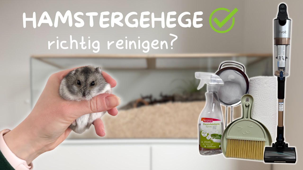 Stress durch Komplettreinigung? SO reinigst du hamsterfreundlich! - Meine Tipps & Helfer 🧹🐹